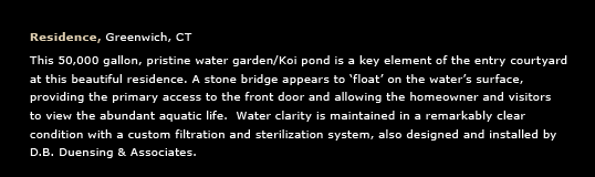 Water Garden Landscape