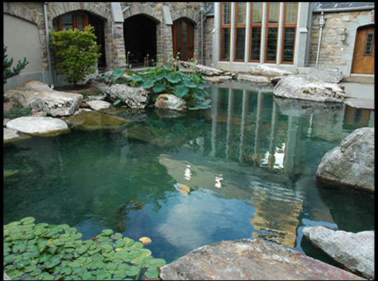 Koi Pond and Water Garden