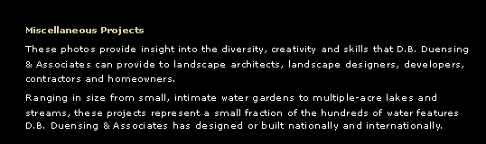 Water Garden Design and Architecture