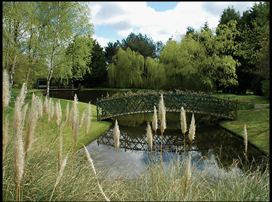 Landscape Design and Development