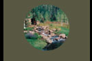TYL Ranch 2