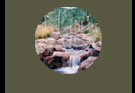 TYL Ranch 4