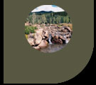 TYL Ranch 6